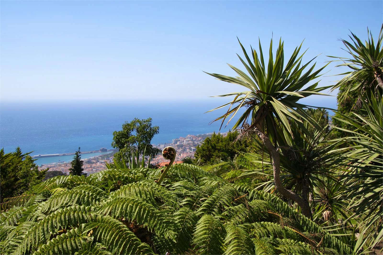 Portugal - Falk Rätzer