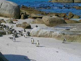 Suedafrika - Elisabeth Fox-Maerki