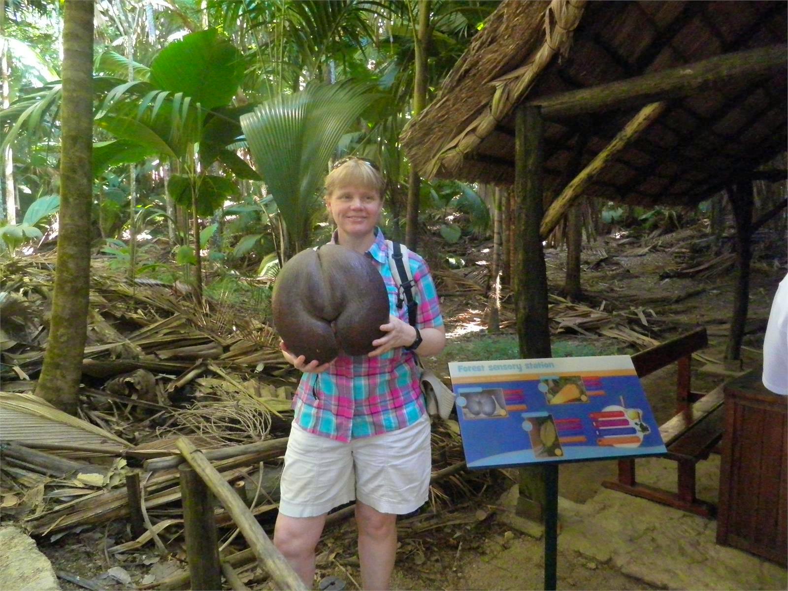 Seychellen - Constanze Maißel