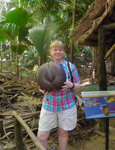 Seychellen - Constanze Maißel