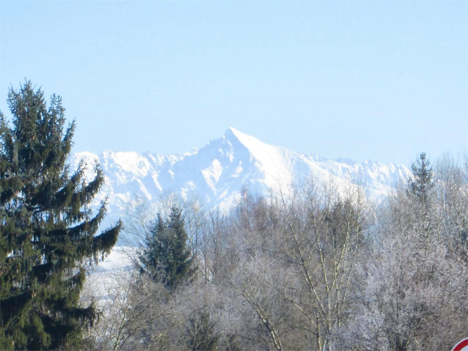 Slowakei - Falk Rätzer