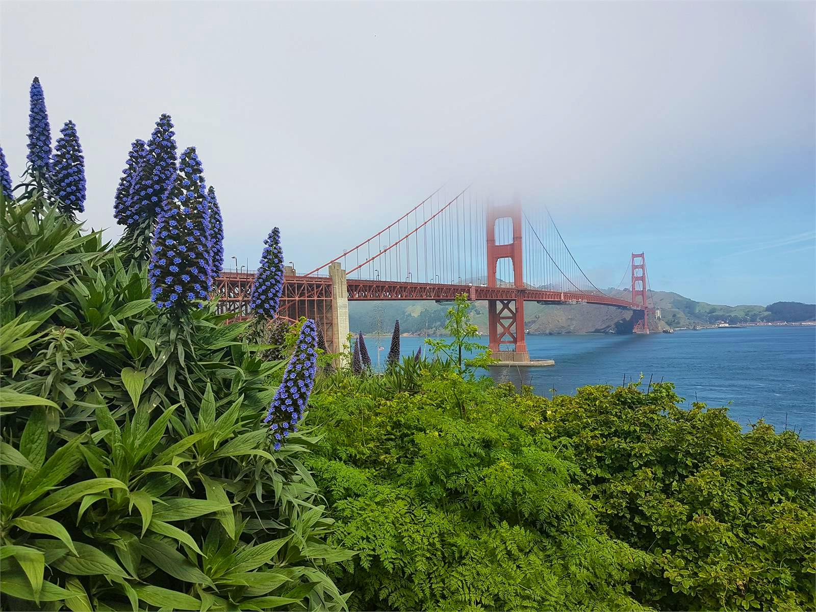 USA - Florian Härtl