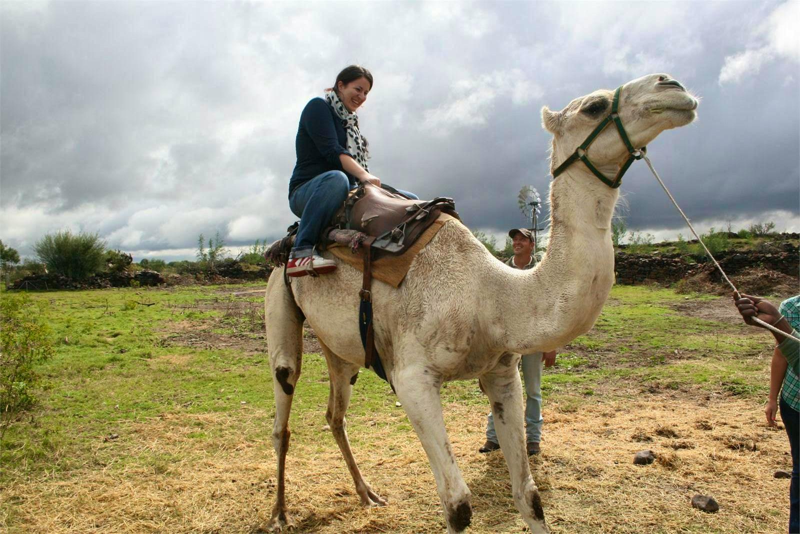 Rundreise Suedafrika - Madlena Voigt