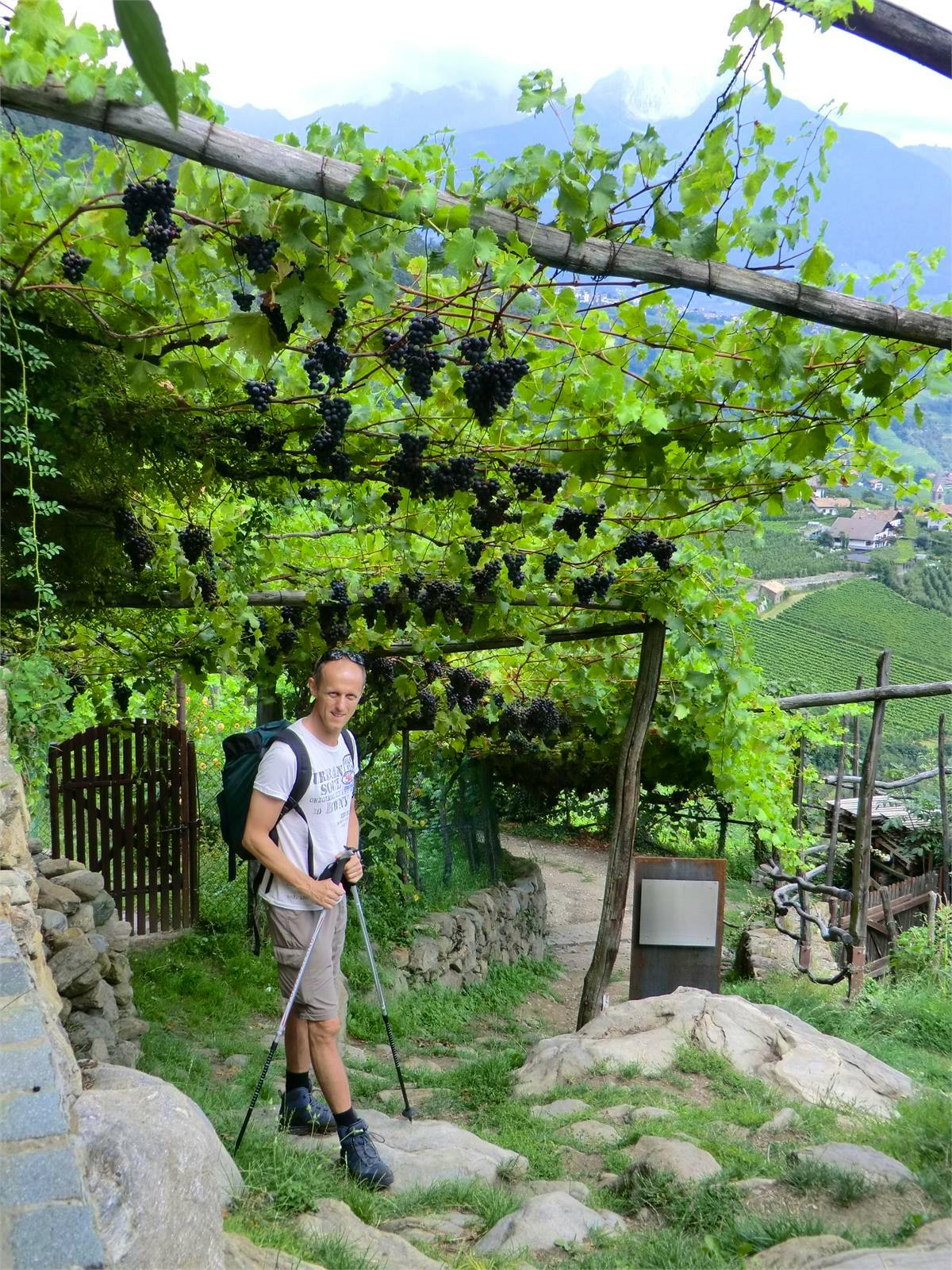 Wandern in Südtirol - Jens Petzoldt