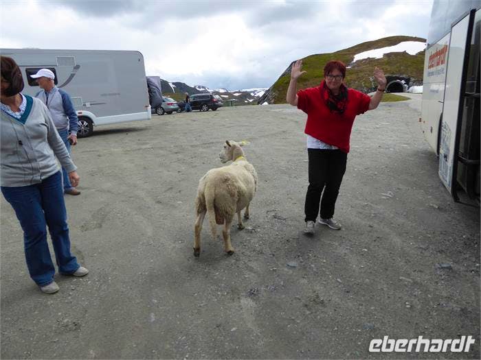 Norwegen - Sabine Letzybyll