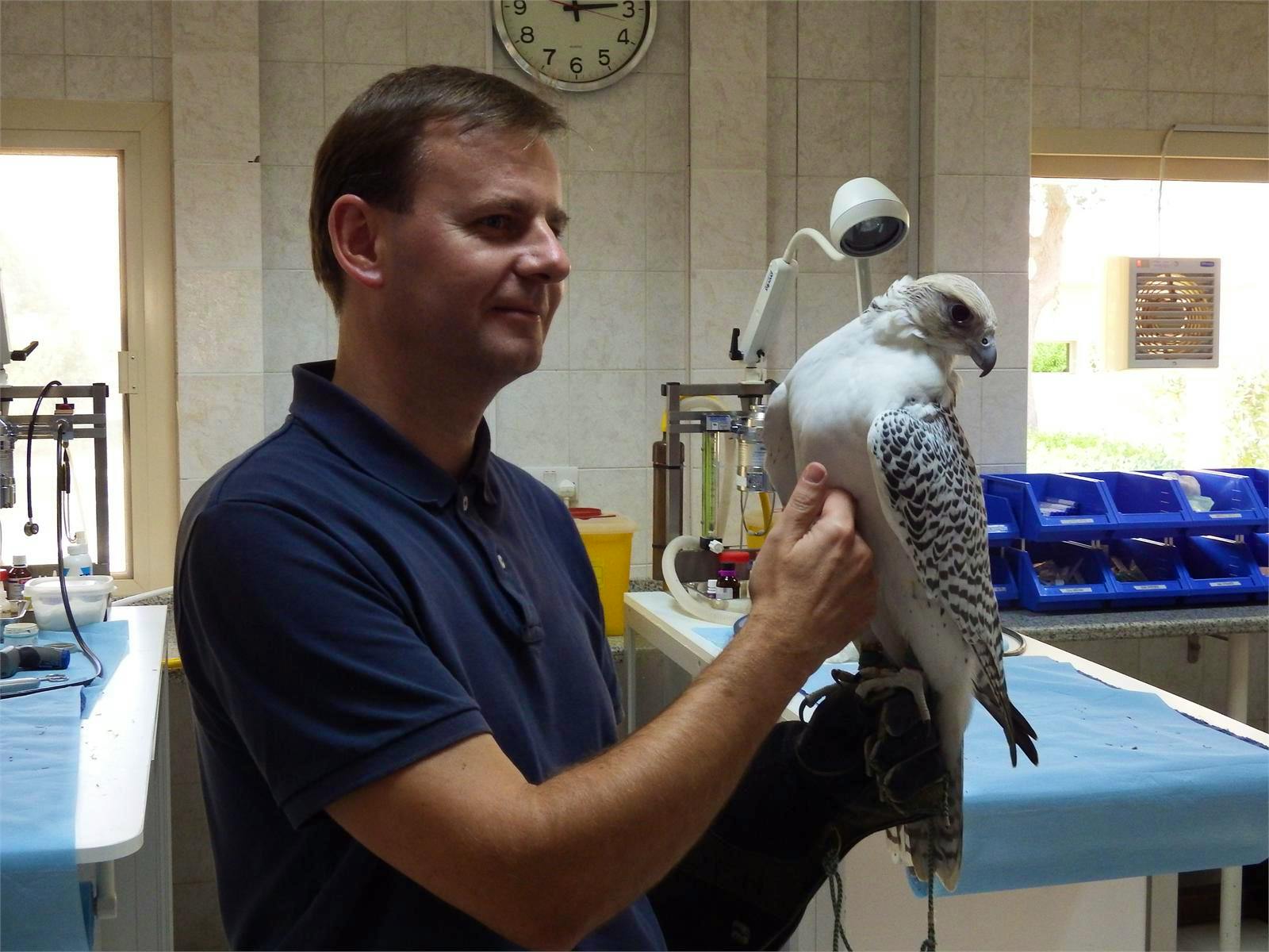 VAE - Frank Nimschowski