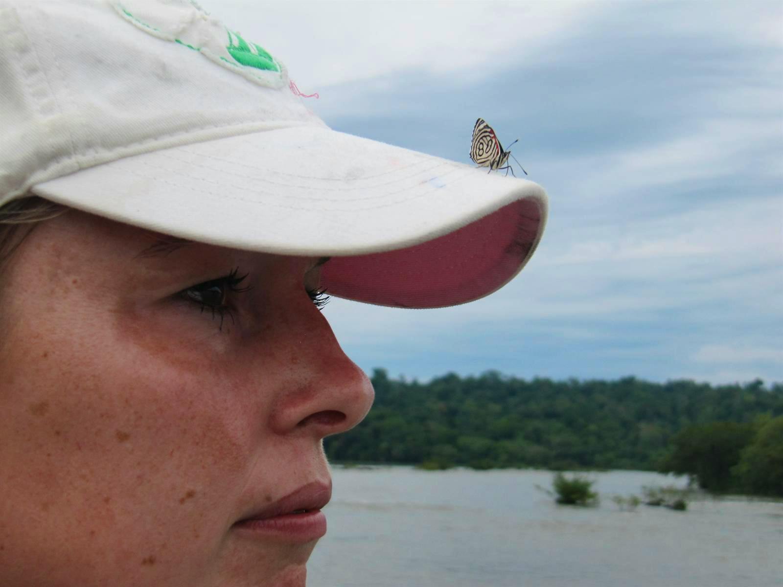 Mein neues Haustier aus Brasilien: Der 88er Schmetterling ... - Anne Schröder