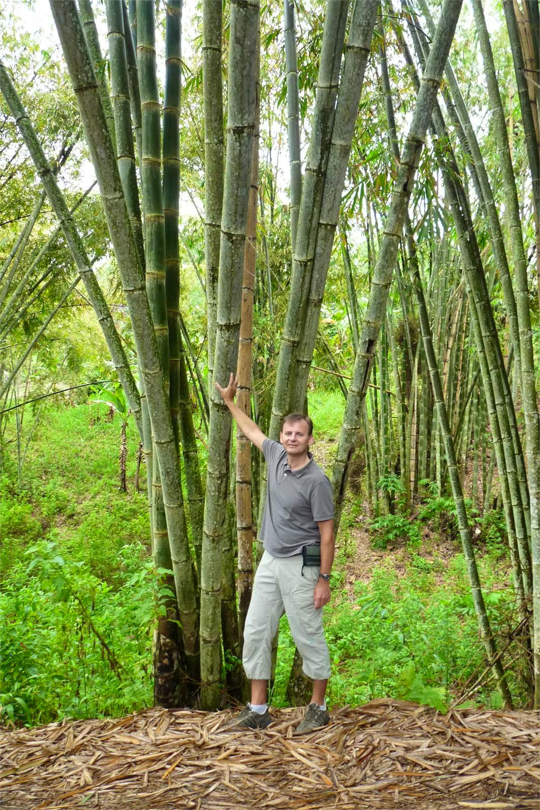 Indonesien - Frank Nimschowski