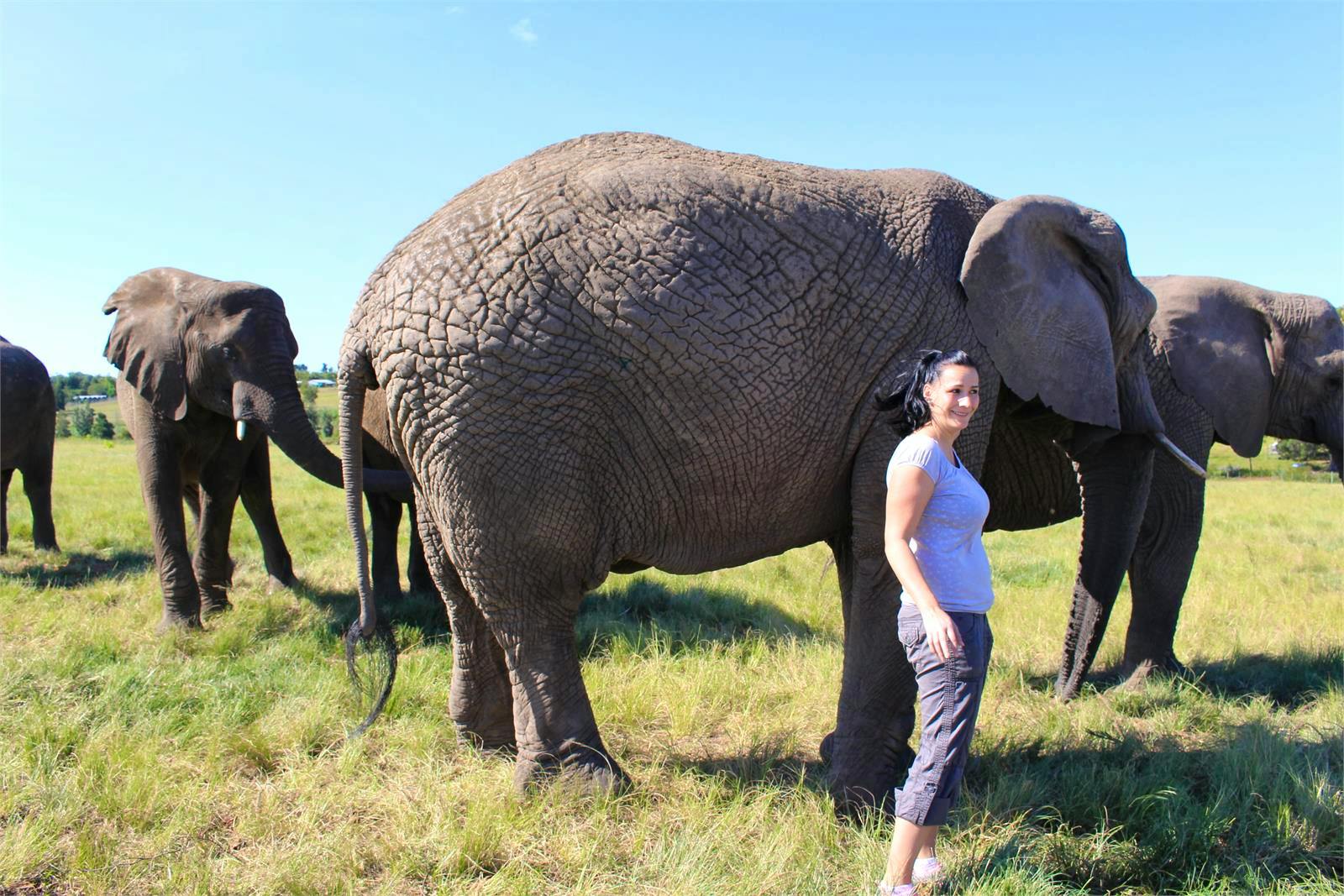 Suedafrika 2016 - Claudia Schöpe