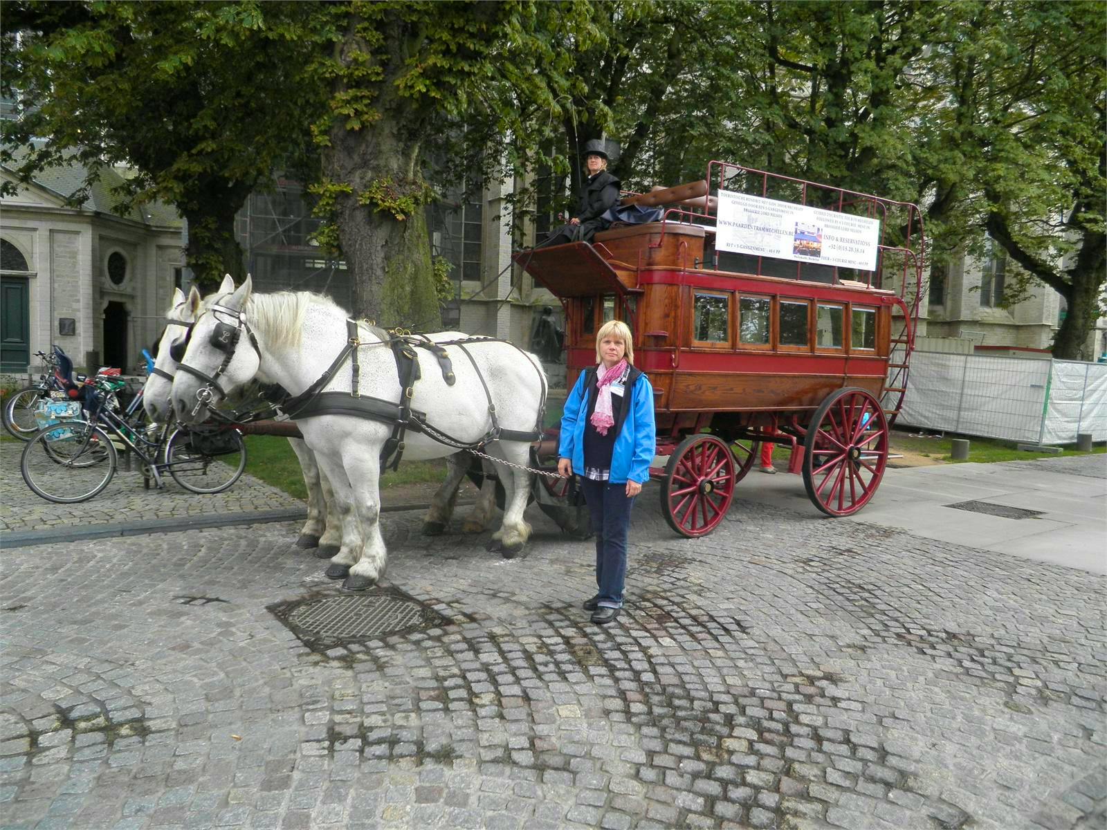 Belgien - Constanze Maißel